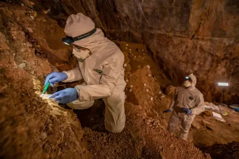 Devlin A. Gandy Scientists sampled the cave sediments for DNA