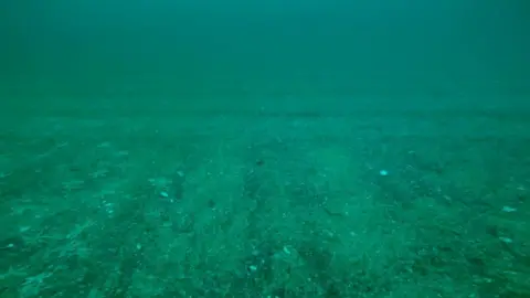 George Brown Scene of alleged scallop dredging near Gairloch