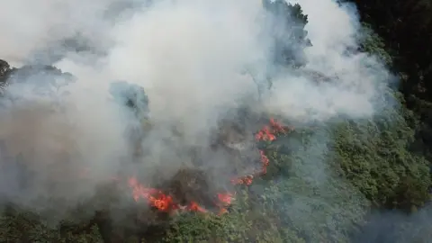 PA Media Fire at Lickey Hills