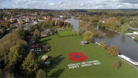 Richard Pinches Bird's eye view of the poppy painting