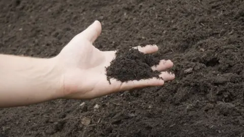 UniversalImagesGroup Soil improver from amenity compost scheme, Wales, United Kingdom