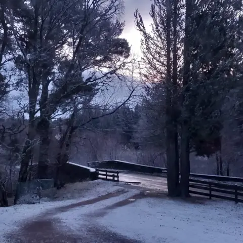 Speygirl/BBCWeatherWatchers Nethy Bridge