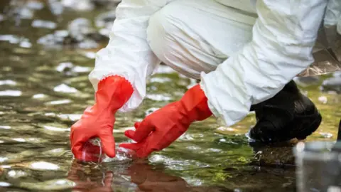 Getty Images Scientist examining toxic water samples