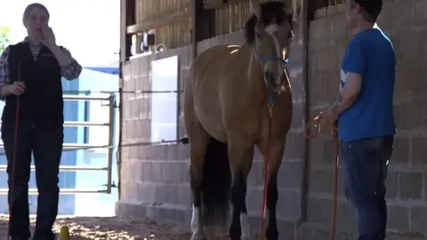 The Horse Course The Horse Course