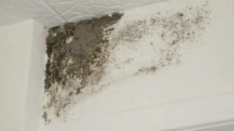 Mould on wall