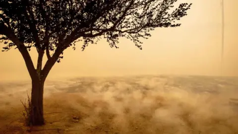 Getty Images A smoking field