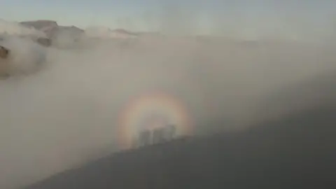 Carol Purcell Carol Purcell's brocken spectre