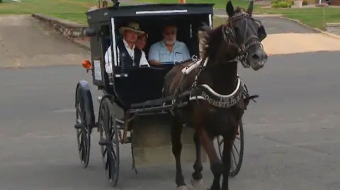 Horse and carriage