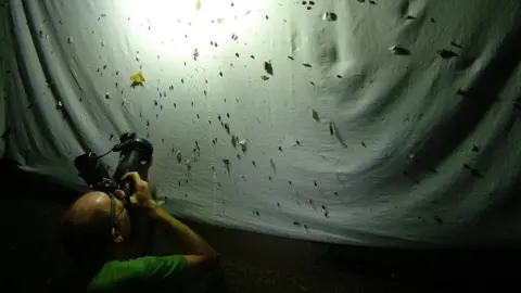 Anglia Ruskin University Dr Alvin Helden photographing insects