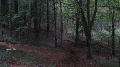 Gj/Geograph Forest Fawr