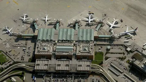 Venice airport closed flights diverted by flock of seagulls