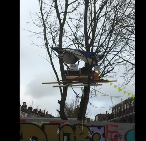 Save The M32 Maples Treehouse in one of the maple trees