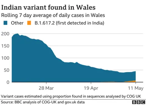 Graph showing number of Covid cases in Wales including Indian variant