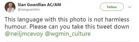 Sian Gwenllian/Twitter Sian Gwenllian's tweet