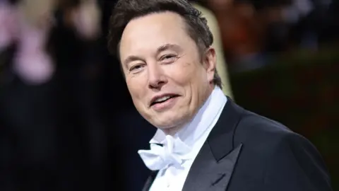 Getty Images Elon Musk