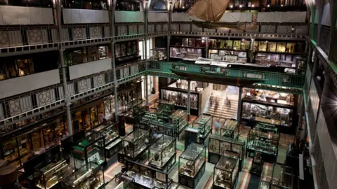 Jorge Royan Pitt Rivers Museum
