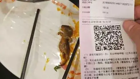 Weibo Dead rat seen on a plate