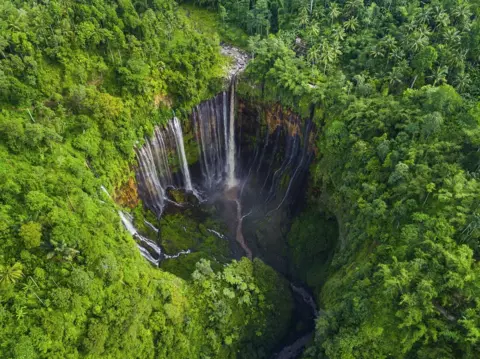 Suwandi Chandra An aerial view of a forest with a waterfall