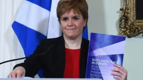 Getty Images Sturgeon with paper