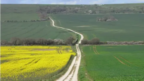 Andrew Smith footpath heading towards Friar Waddon Hill from Hewish Hill
