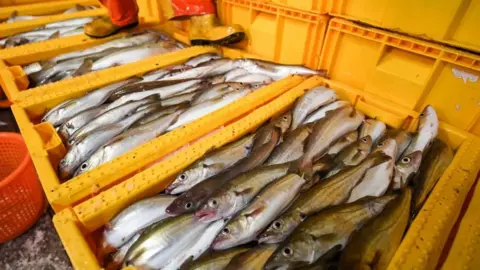 Getty Images Boxes of fish at a fish market