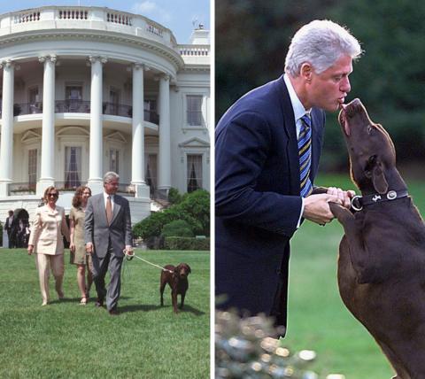 White House pets: Cats, dogs and raccoons through the years - BBC News