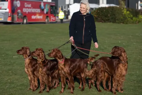 PA Crufts