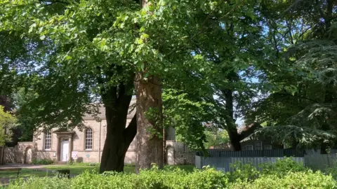 Ripon Civic Society Minster Gardens