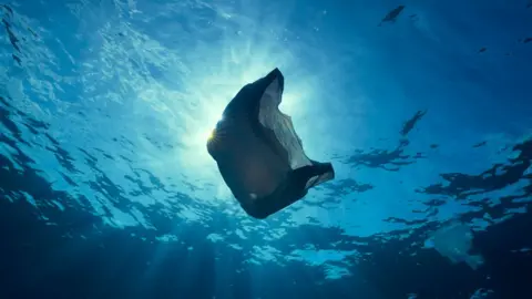 Blue Planet II