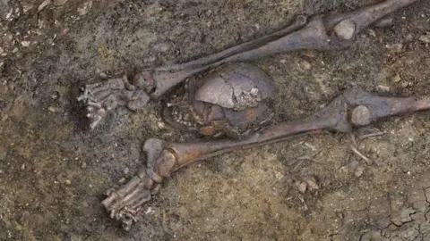 HS2 Close-up of Roman decapitated skeleton, Fleet Marston