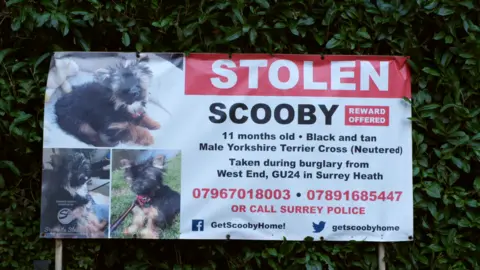 BBC Stolen sign appealing for information