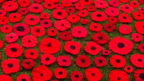 BBC Wellesbourne poppies