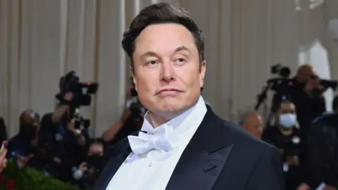 Getty Images Elon Musk