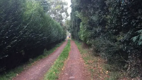 The driveway to their house from the public road