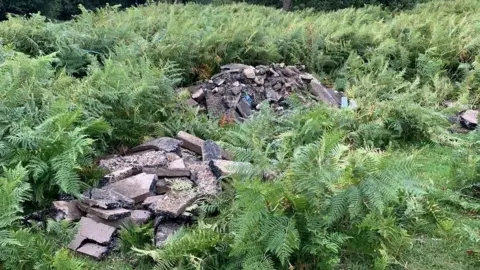 Forestry England Flytipping Brockenhurst