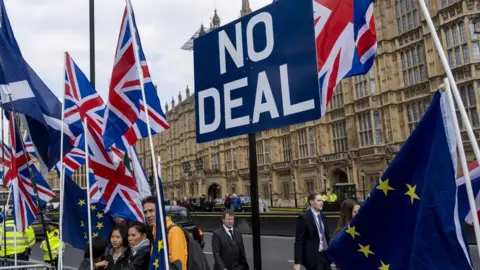 AFP Protesters and flags outside the Palace of Westminster