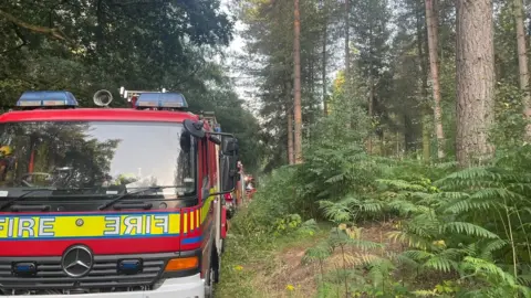 Fire engine in forest