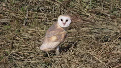 Donna Zimmer Crossness Nature Reserve