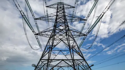 Getty Images Electrical pylons coming from Dungeness power station running through the Romney marsh.