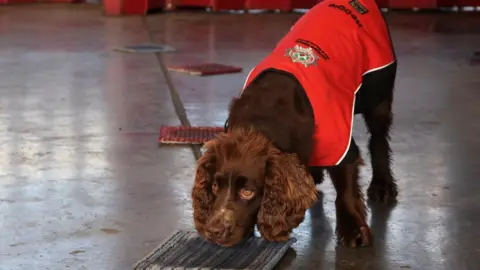 NIFRS Reggie the firedog