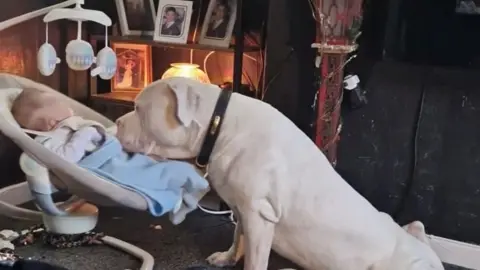 Robyne Reid Dog near baby