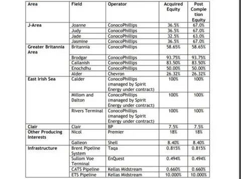 Chrysaor Chrysaor table of assets acquired