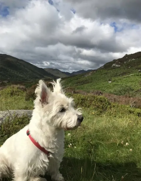 Maureen Gamble Newtonmore