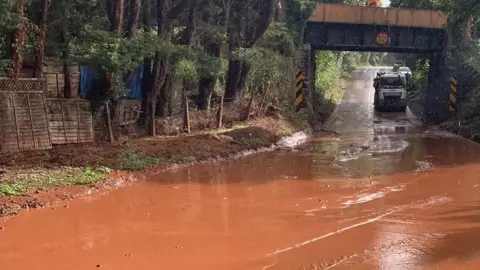 Travel Somerset The Mudslide