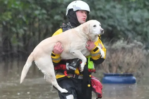 Ben Birchall/PA Wire A firefighter carries a dog to safety as part of ongoing rescue operations due to flooding in Nantgarw