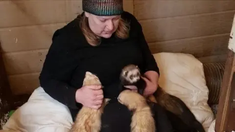 Jo Clark with the ferrets at Hockley Ferret Rescue
