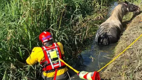 Corby Fire Station Horse rescue