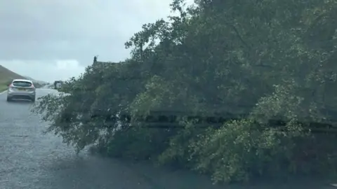 Tara Vallente A tree fallen down on the A591 between Keswick and Grasmere
