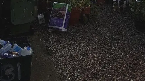 Stop Kronospan Pollution/Facebook Dust from Kronospan left in a garden