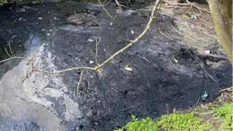 LDRS Oil in brook
